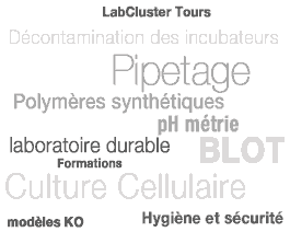 LabCluster News information technique et pratique