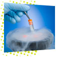 cryopreservation