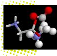 Biomolécules