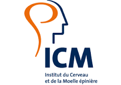 ICM