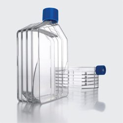 Multiflasks Falcon